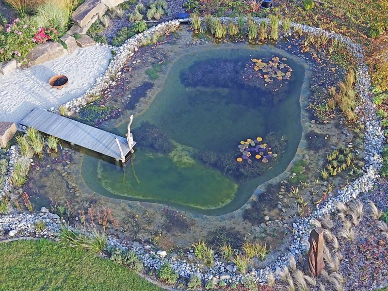 Luftbild von einem Schwimmteich mit tollen Wasserpflanzen von H2O-Pflanze von